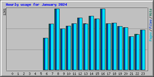 Hourly usage for January 2024