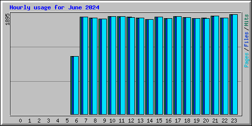 Hourly usage for June 2024