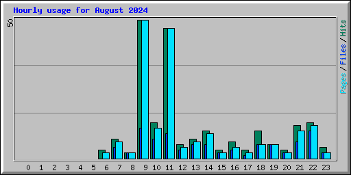 Hourly usage for August 2024